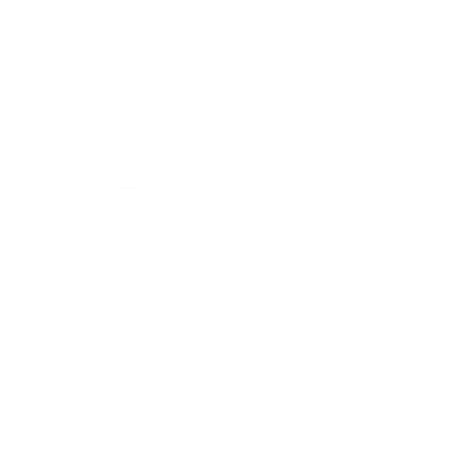 True North Weddings Logo